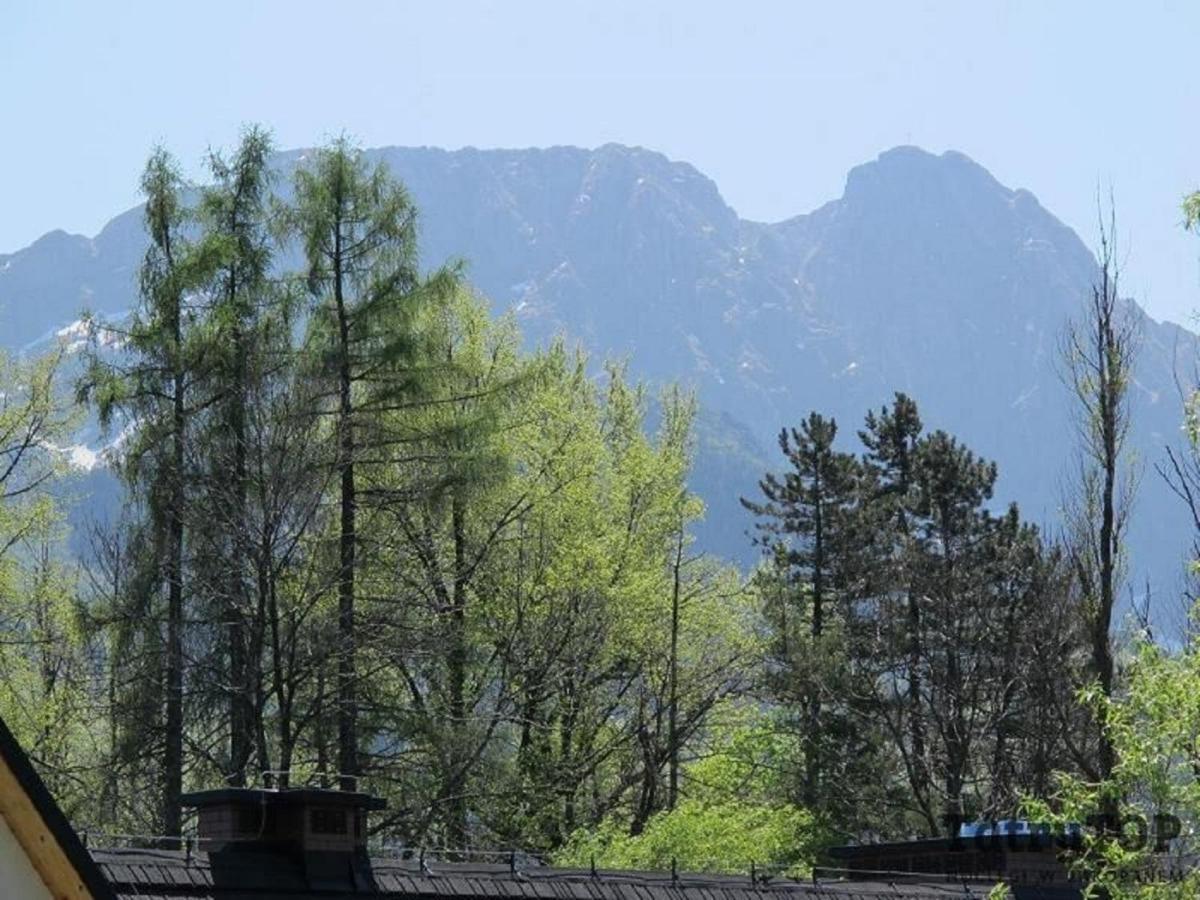 Tatrytop Apartamenty Kaszelewski 자코파네 외부 사진